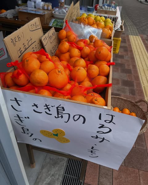 神明市で出展しました