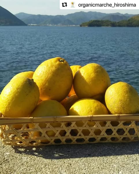 鷺島みかんじま出店します!!