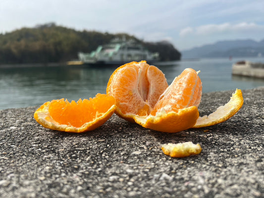 今年は味が濃い😆‼️しらぬい（デコちゃん）！