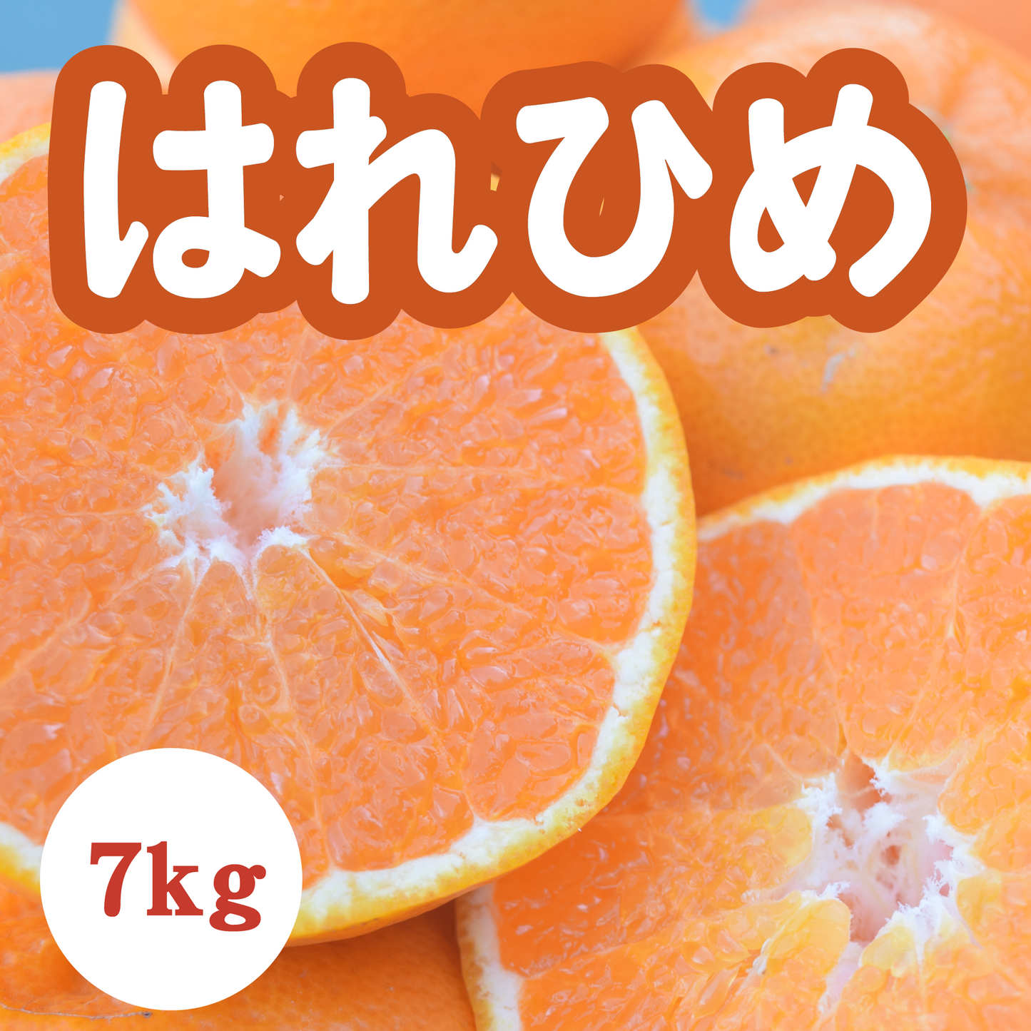 【1月上旬以降】新品種はれひめ!爽やかな甘さが特徴7Kg