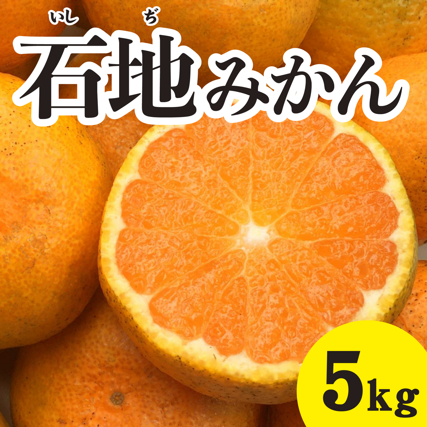 【12月上旬以降】甘さとコクのある深い味わい 石地みかん5Kg
