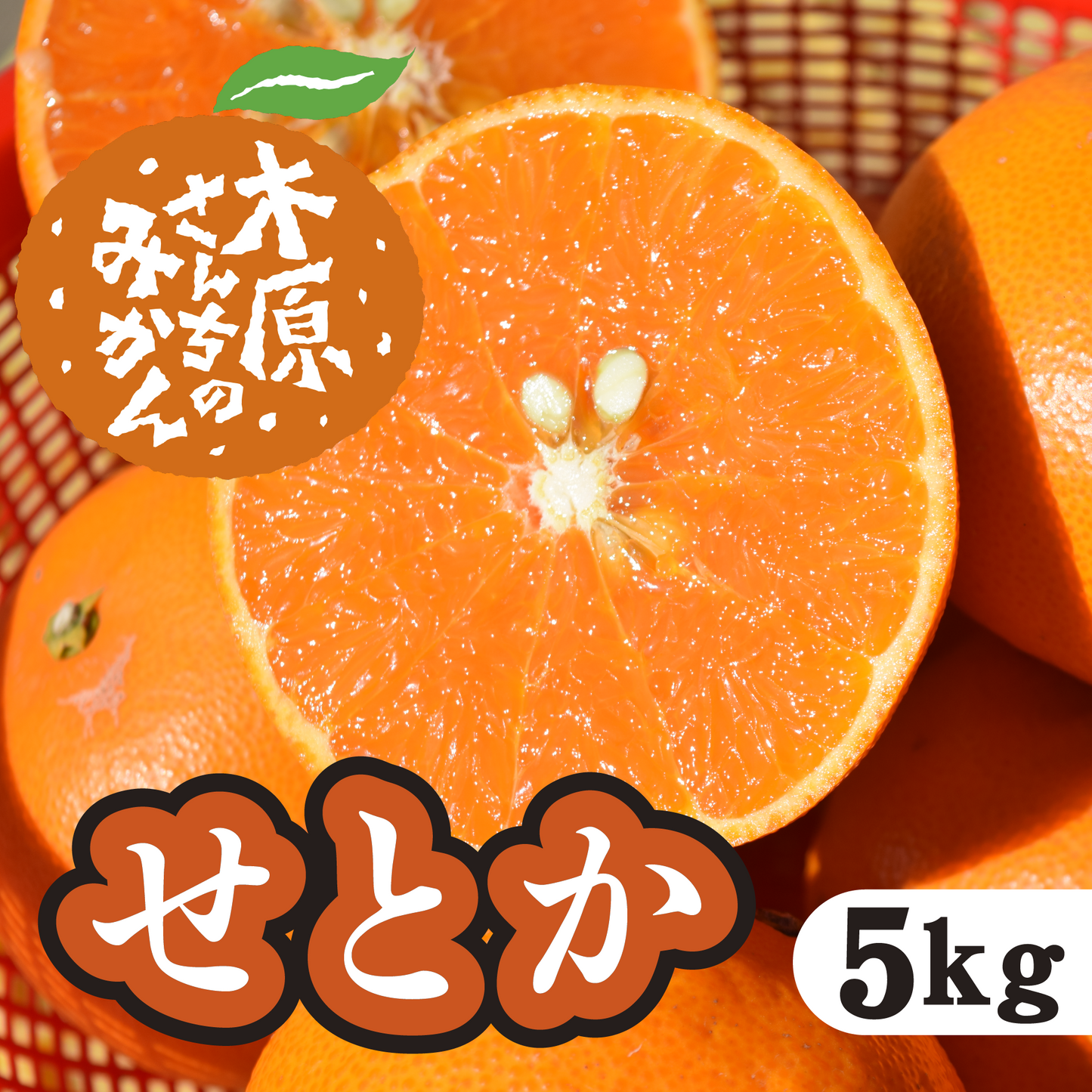 【2月下旬以降】せとか 濃厚ジューシーに大満足!5Kg