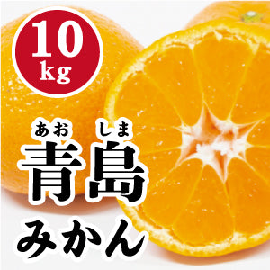 【1月下旬以降】高い糖度とコクある味わい!青島みかん10㎏