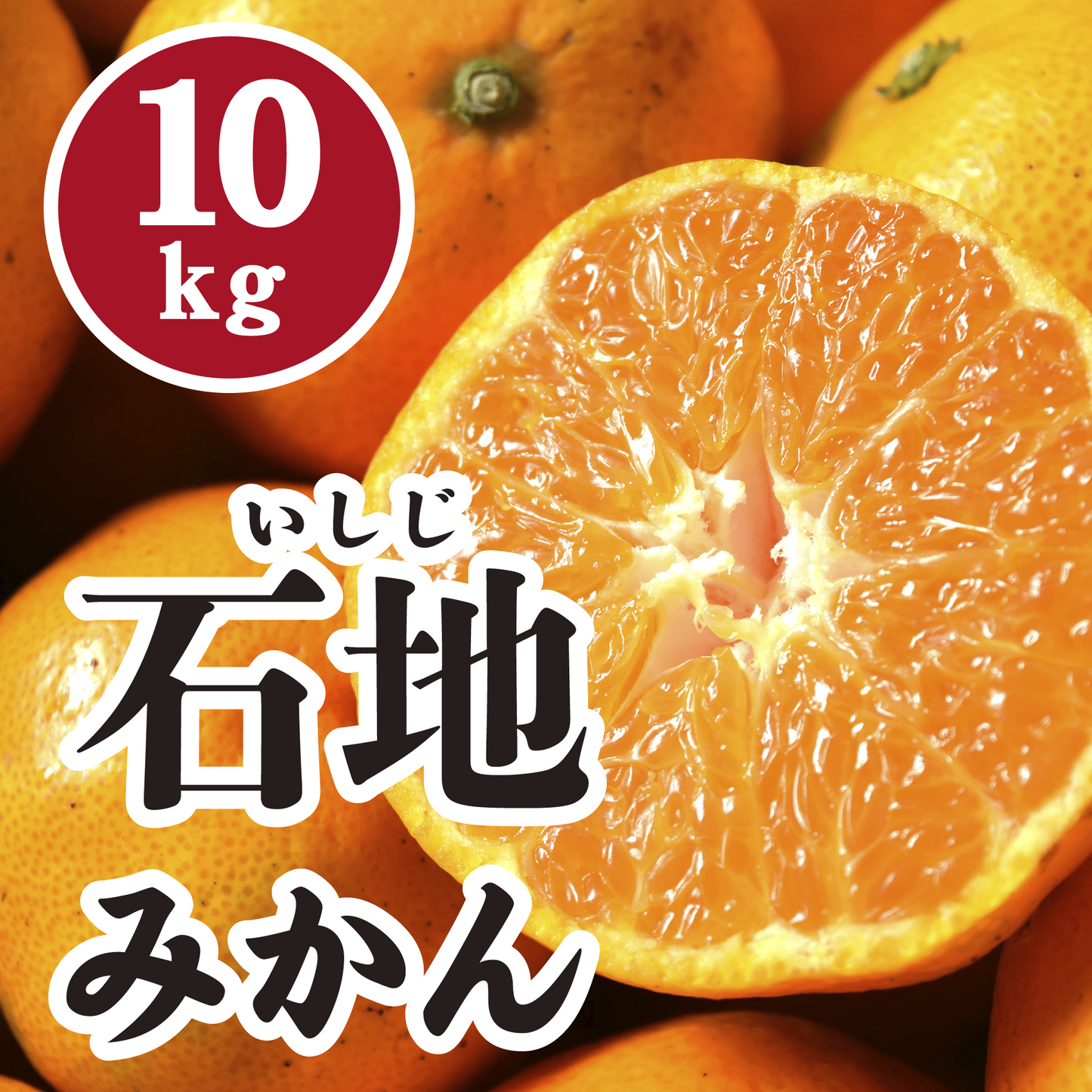 【12月上旬以降】高糖度!甘さ抜群石地みかん10Kg