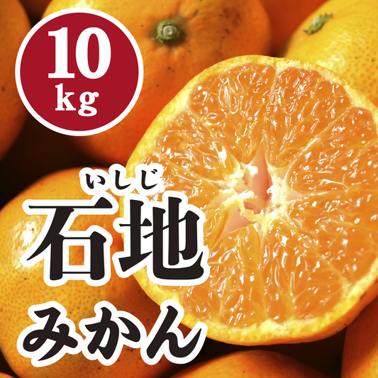 【12月上旬以降】高糖度!甘さ抜群石地みかん10Kg