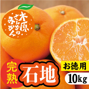 【12月中旬以降】≪お徳用≫みかんの王様「石地」子どもから大人まで大人気!10Kg