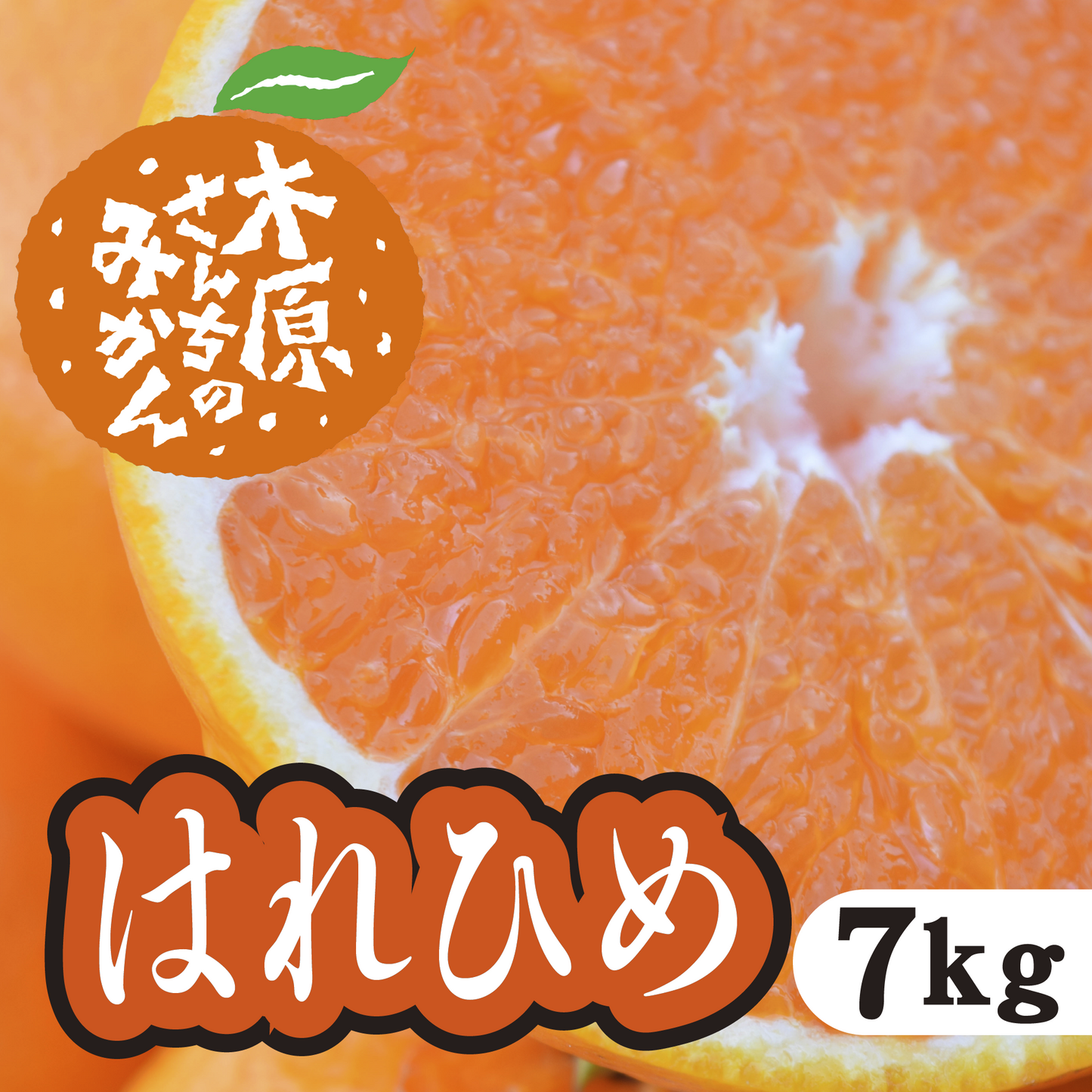 【1月中旬以降】爽やかな香りと甘み はれひめ!7Kg