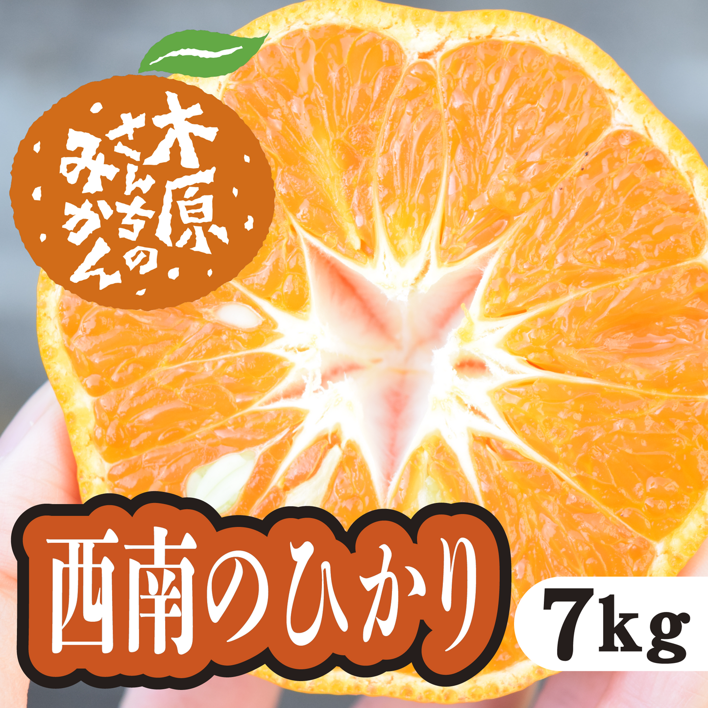 【12月中旬以降】西南のひかり 甘味と酸味のバランスの良さが特徴!7Kg