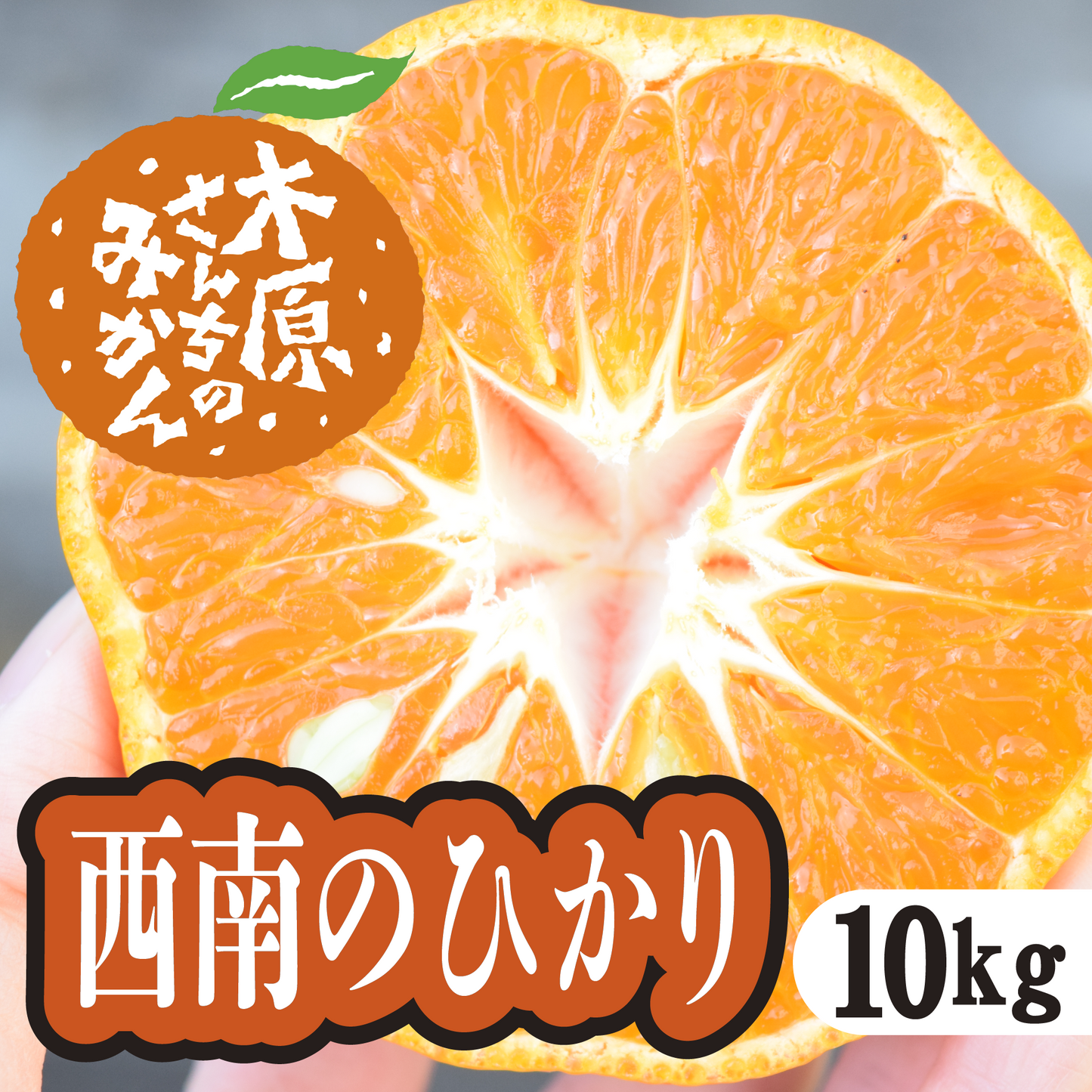 【12月中旬以降】西南のひかり 甘味と酸味のバランスの良さが特徴!10Kg