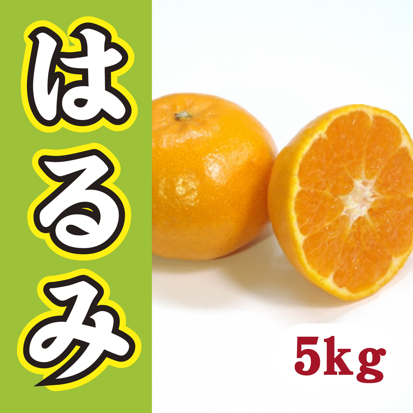 【2月中旬以降】家族で気軽に!甘さ満足はるみ5Kg