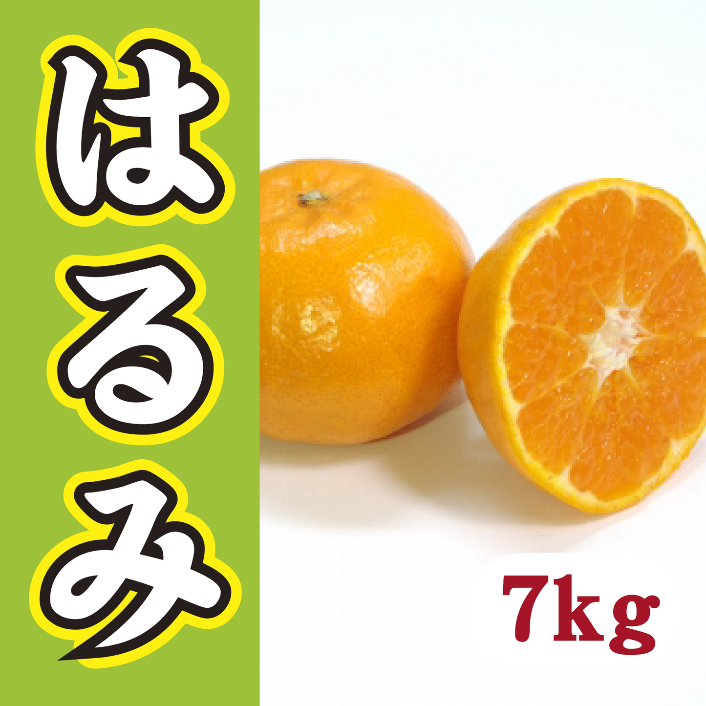 【2月中旬以降】家族で気軽に!甘さ満足はるみ7Kg
