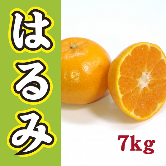 【2月中旬以降】家族で気軽に!甘さ満足はるみ7Kg