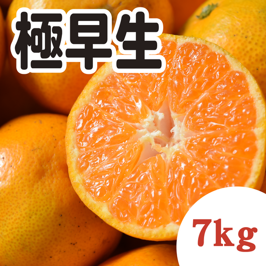 【10月下旬以降】甘くてジューシー!懐かしい極早生みかん7Kg
