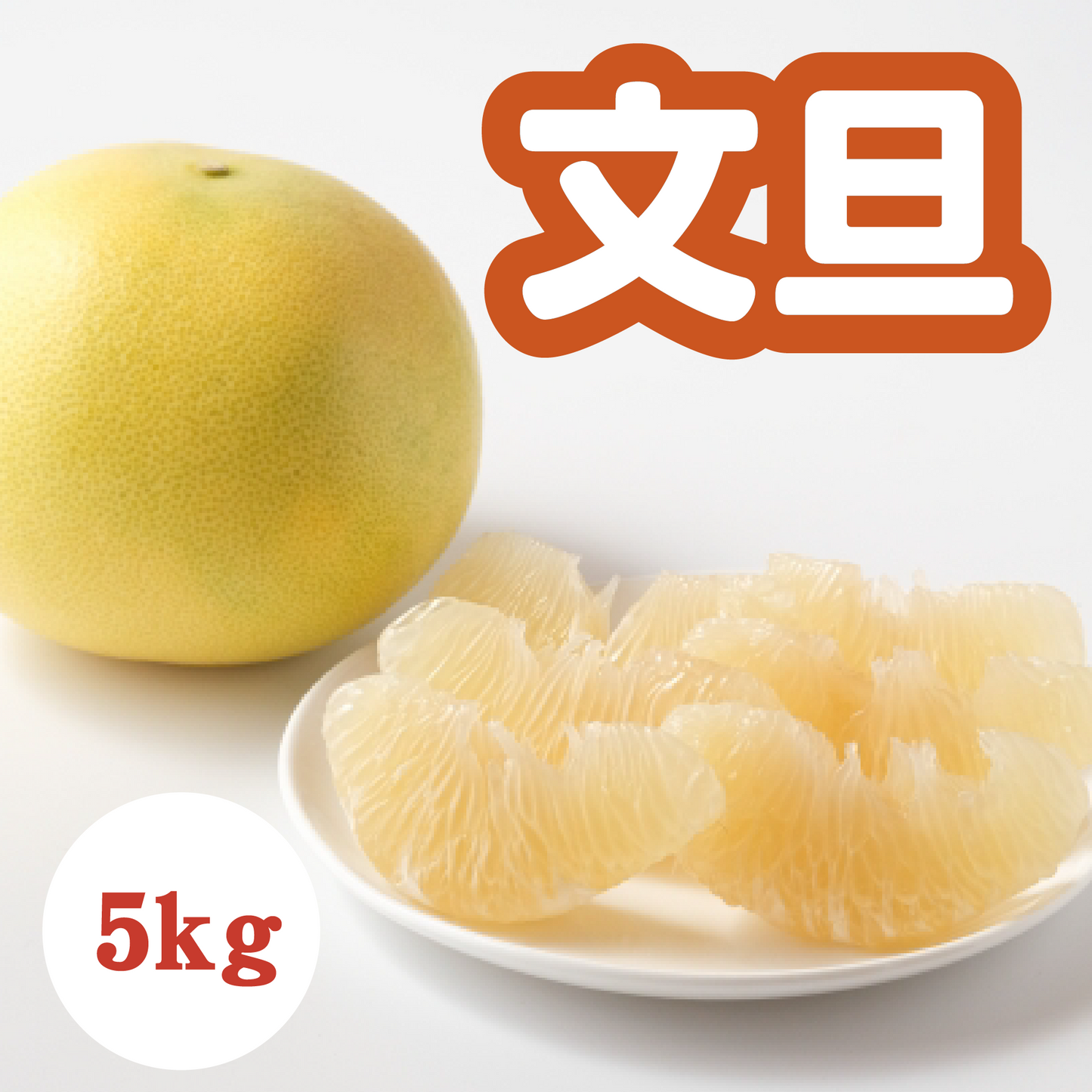 【3月下旬以降】プリっと爽やか文旦5Kg