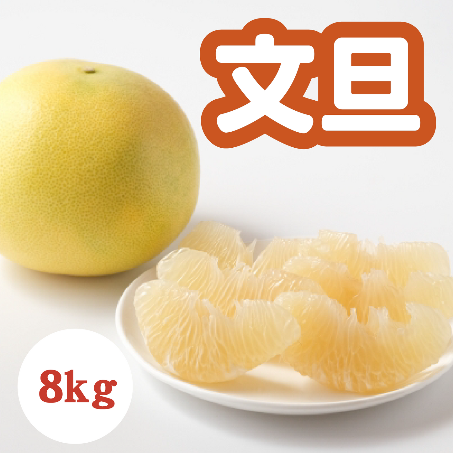 【3月下旬以降】プリっと爽やか文旦8Kg