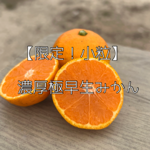 【限定10箱】高糖度の13度!極早生2sから3sサイズ5キロ!
