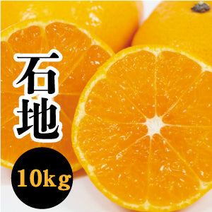 【12月上旬以降】ギュッと味濃い 石地みかん10㎏