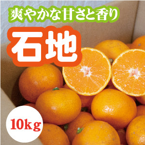 【12月上旬以降】甘さがギュッ!!と詰まった石地みかん10Kg