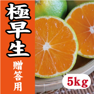 【10月中旬以降】《贈答用》みかんシーズン先取り 極早生5Kg