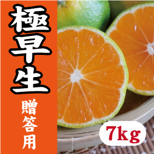 【10月中旬以降】《贈答用》みかんシーズン先取り 極早生7Kg