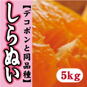 【2月下旬以降】!≪デコポンと同品種≫甘さ抜群しらぬい5Kg