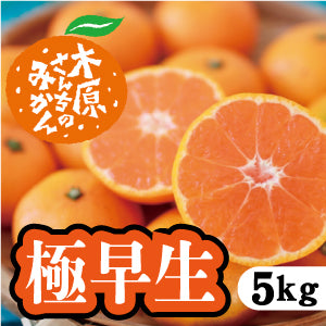 【11月中旬以降】酸味の中にみかんの甘み!昔ながらの極早生みかん!5Kg