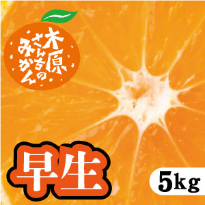 【11月下旬以降】『早生みかん』はとにかく甘い！５Ｋg