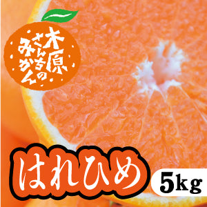 【1月中旬以降】爽やかな香りと甘み はれひめ!5Kg