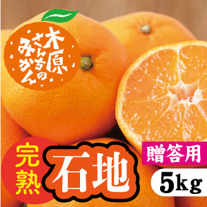 【12月中旬以降】≪贈答用≫完熟「石地」子どもから大人まで大人気!5Kg