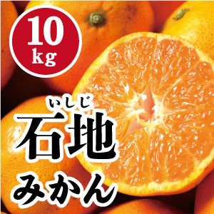 【12月上旬以降】高糖度!甘さ抜群石地みかん10Kg