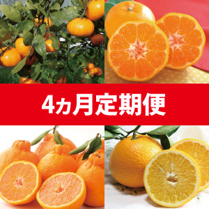 【1月~4月定期発送】定番の美味しさを4ヶ月連続でお届け!自分へのご褒美に!(4種類/4ヶ月)
