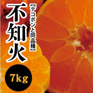 【2月中旬以降】清見とポンカンの交雑種!!人気の不知火7Kg