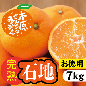 【12月中旬以降】≪お徳用≫みかんの王様「石地」子どもから大人まで大人気!7Kg