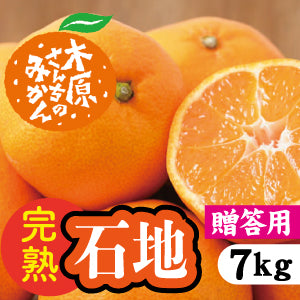 【12月中旬以降】≪贈答用≫完熟「石地」子どもから大人まで大人気!7Kg