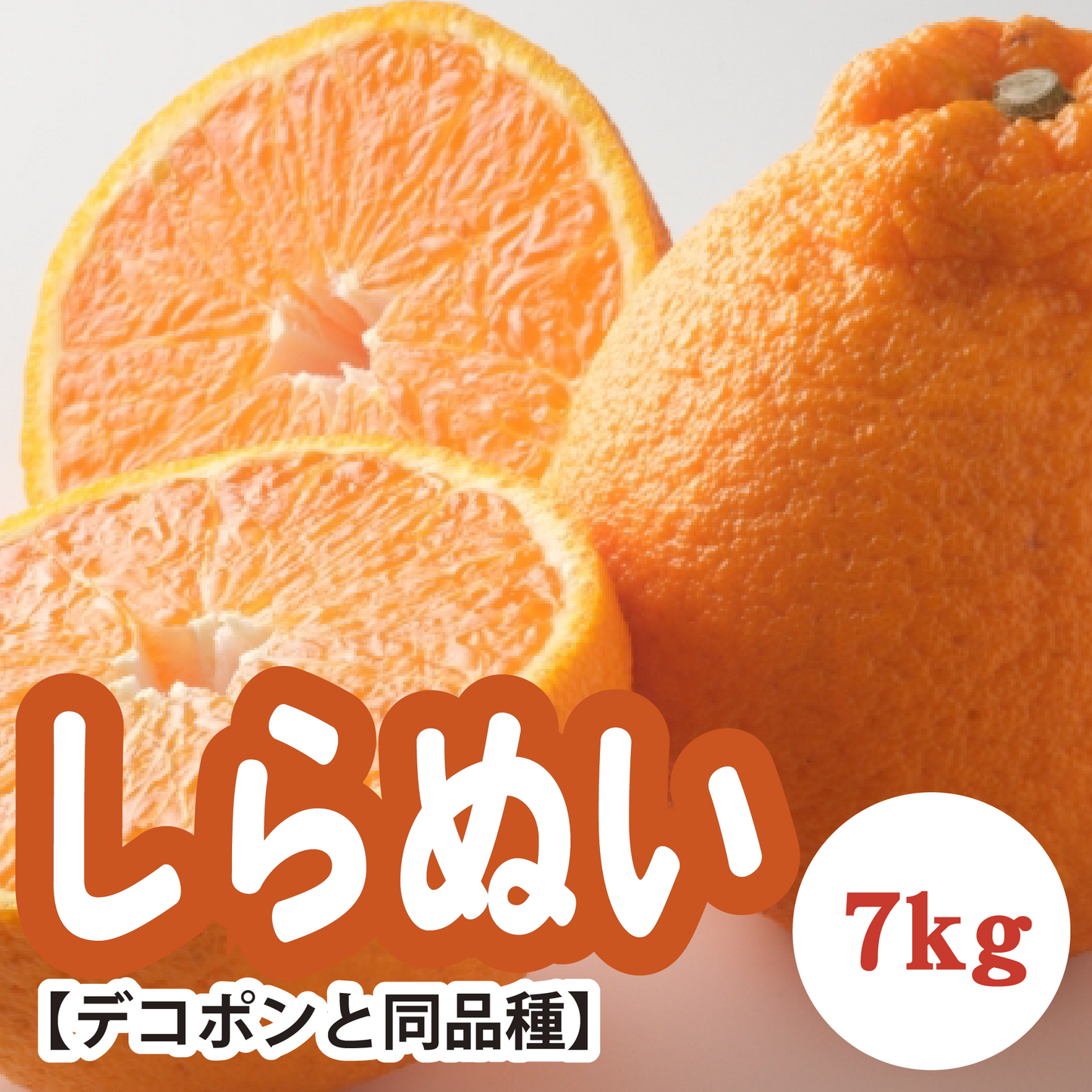 【2月下旬以降】果汁たっぷりで濃厚な甘み『しらぬい(デコポンと同品種)』7Kg
