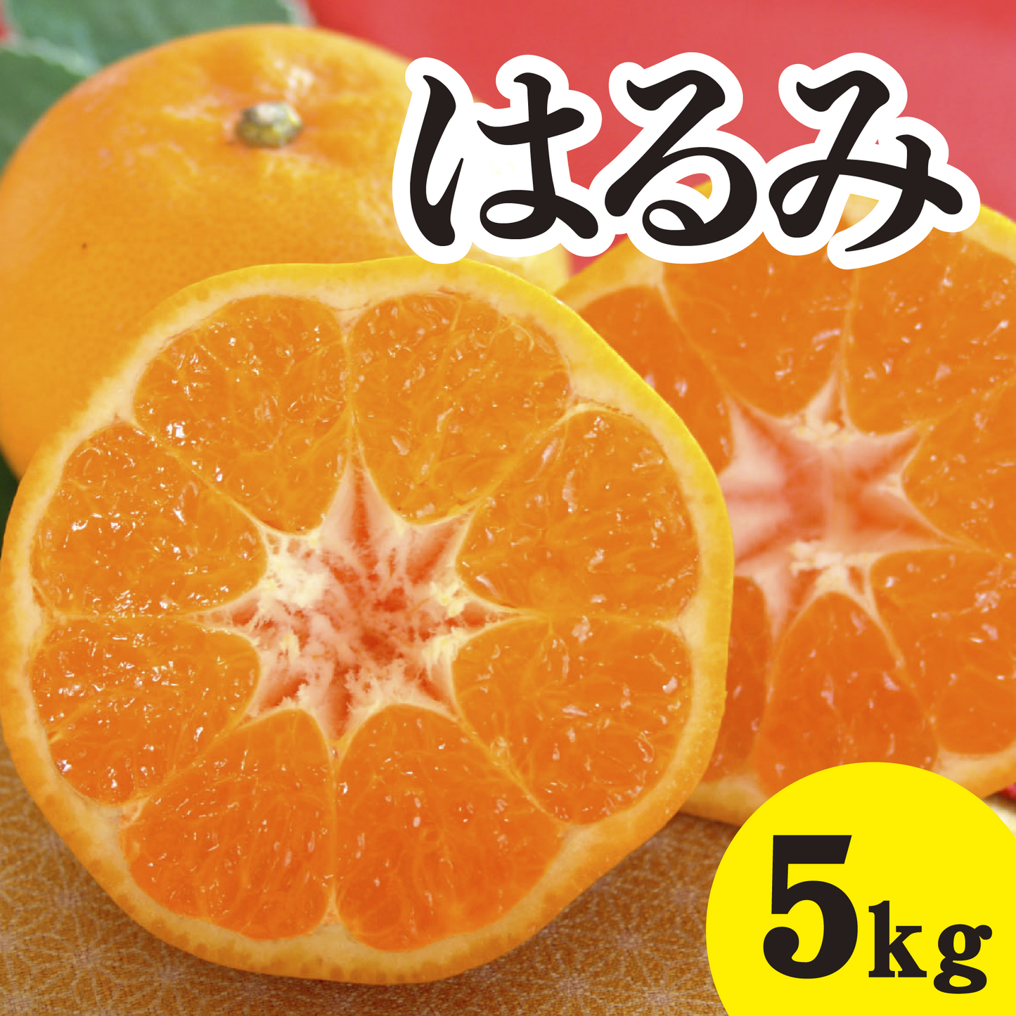 【2月上旬以降】ぷりぷり食感’はるみ’甘さに大満足5Kg