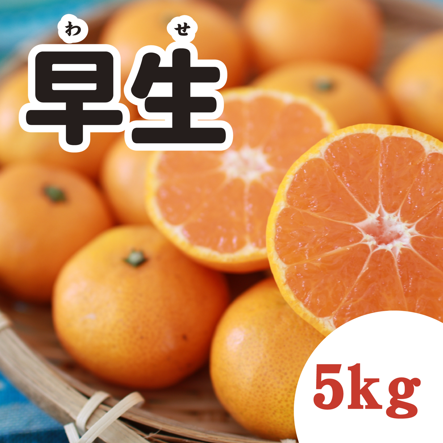 【11月上旬以降】みかん好きに愛される 早生みかん5Kg