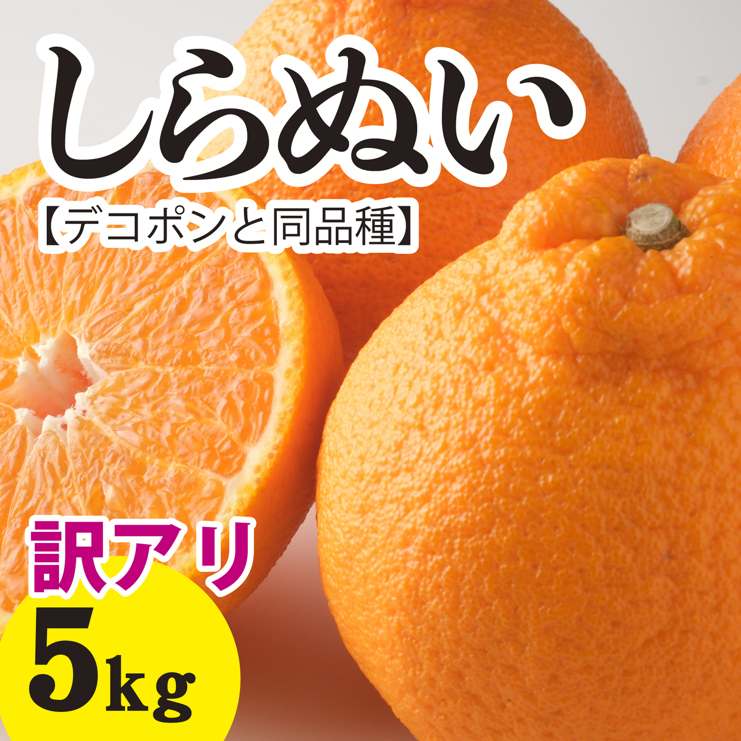 【2月下旬以降】≪訳アリ≫お値打ち価格『しらぬい【デコポンと同品種】』5Kg