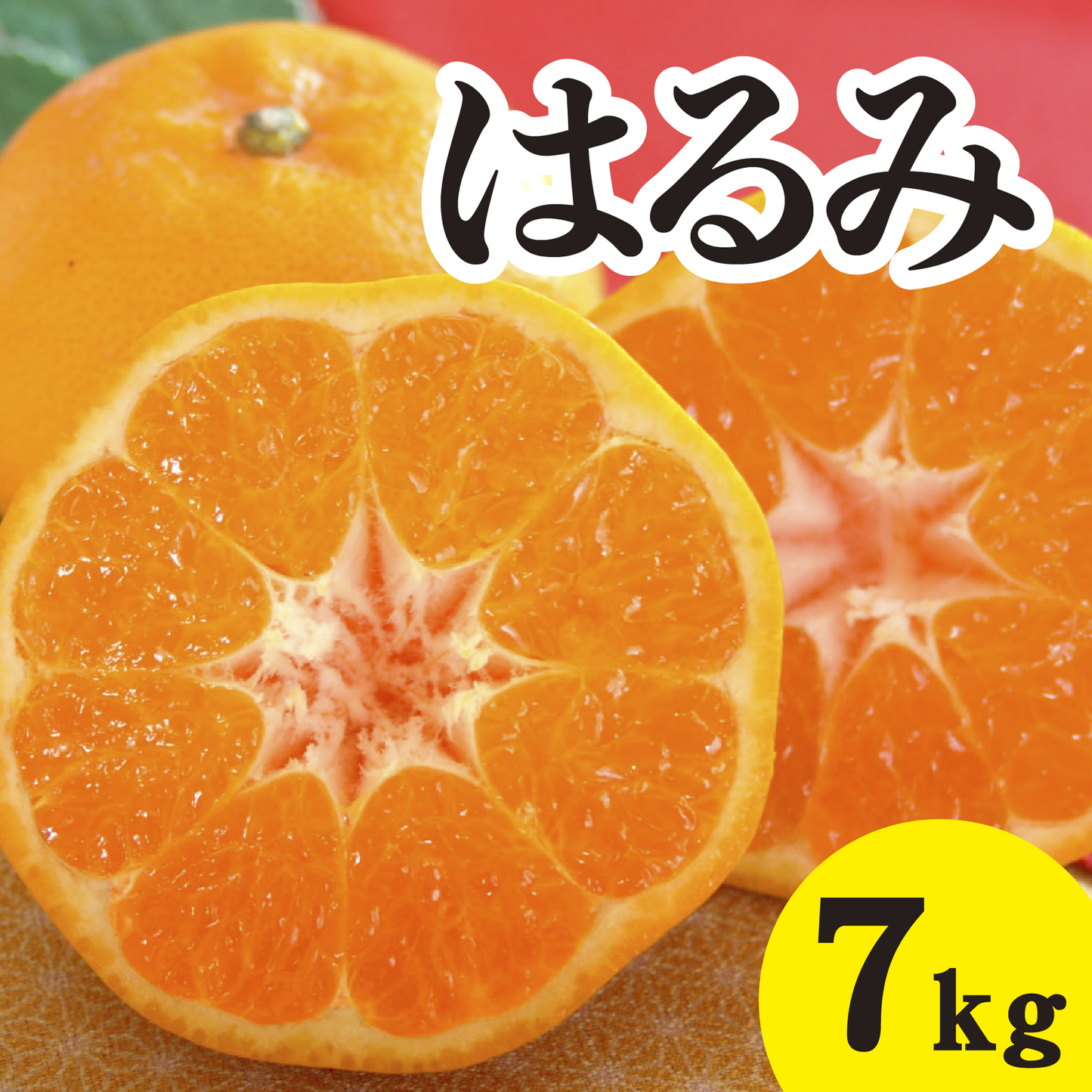 【2月上旬以降】ぷりぷり食感’はるみ’甘さに大満足7Kg