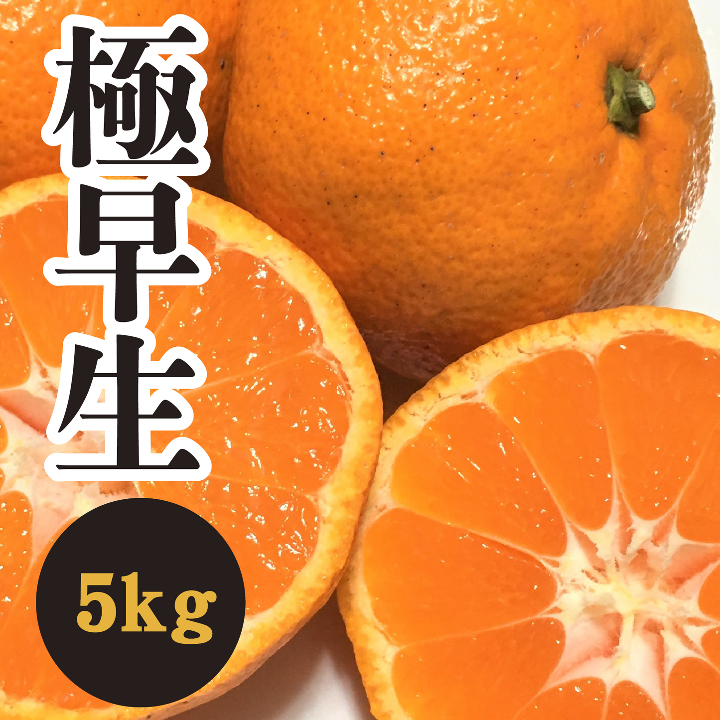 【10月中旬以降】昔ながらの瀬戸内みかん!!極早生温州5Kg