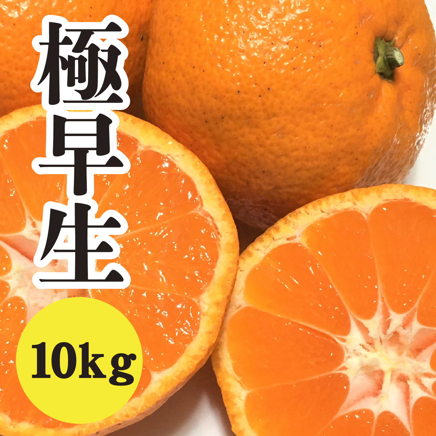 【10月中旬以降】昔ながらの瀬戸内みかん!!極早生温州10Kg