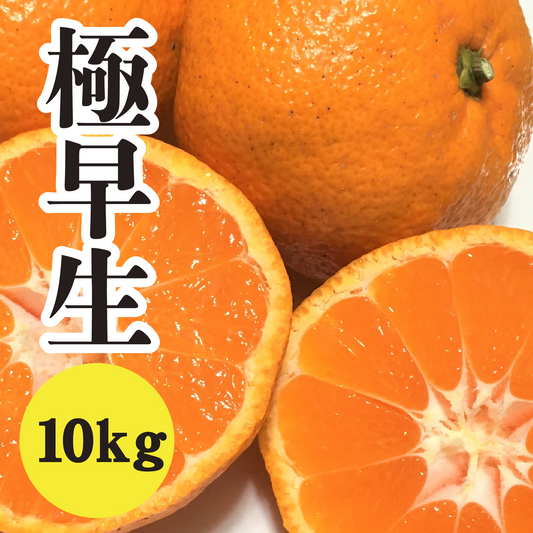 【10月中旬以降】昔ながらの瀬戸内みかん!!極早生温州10Kg