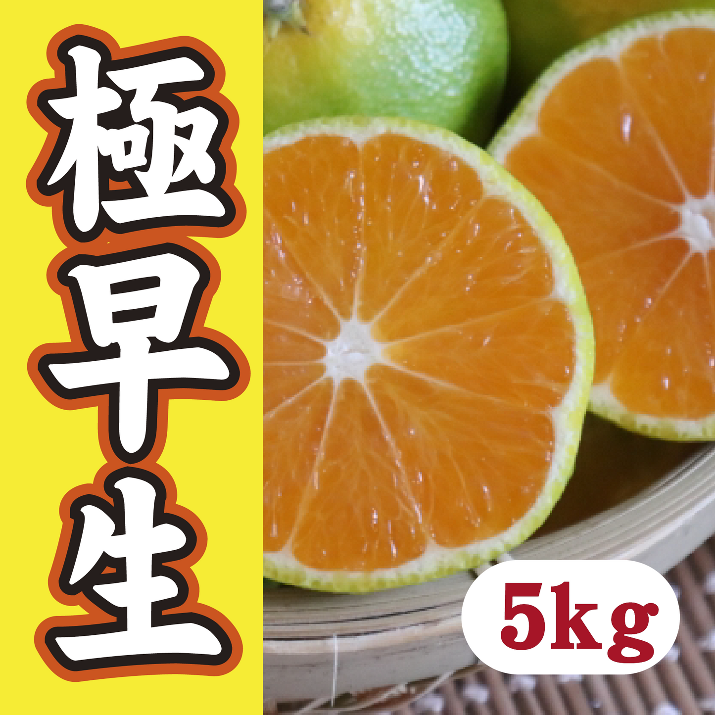 【10月中旬以降】みかんシーズン先取り 極早生5Kg