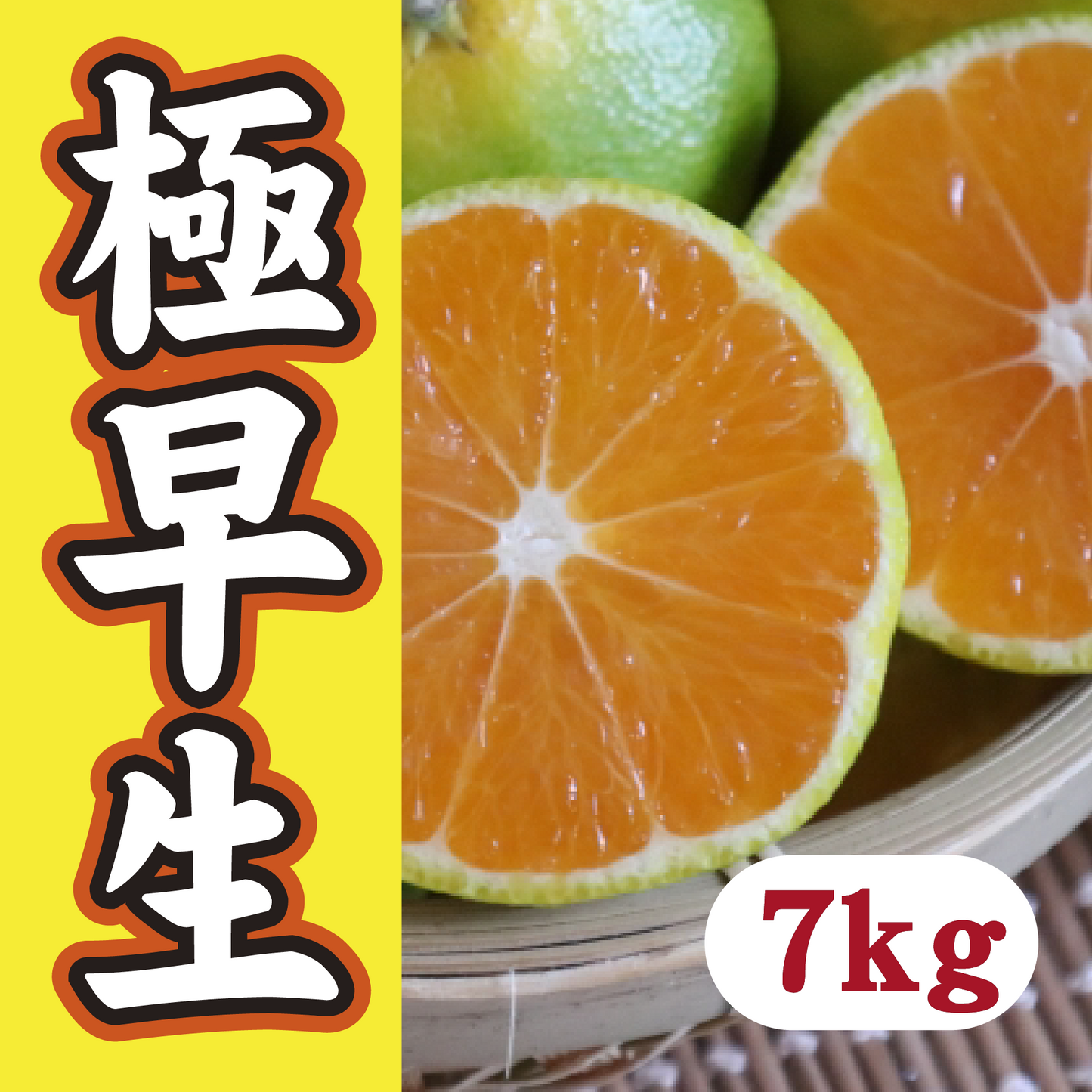 【10月中旬以降】みかんシーズン先取り 極早生7Kg