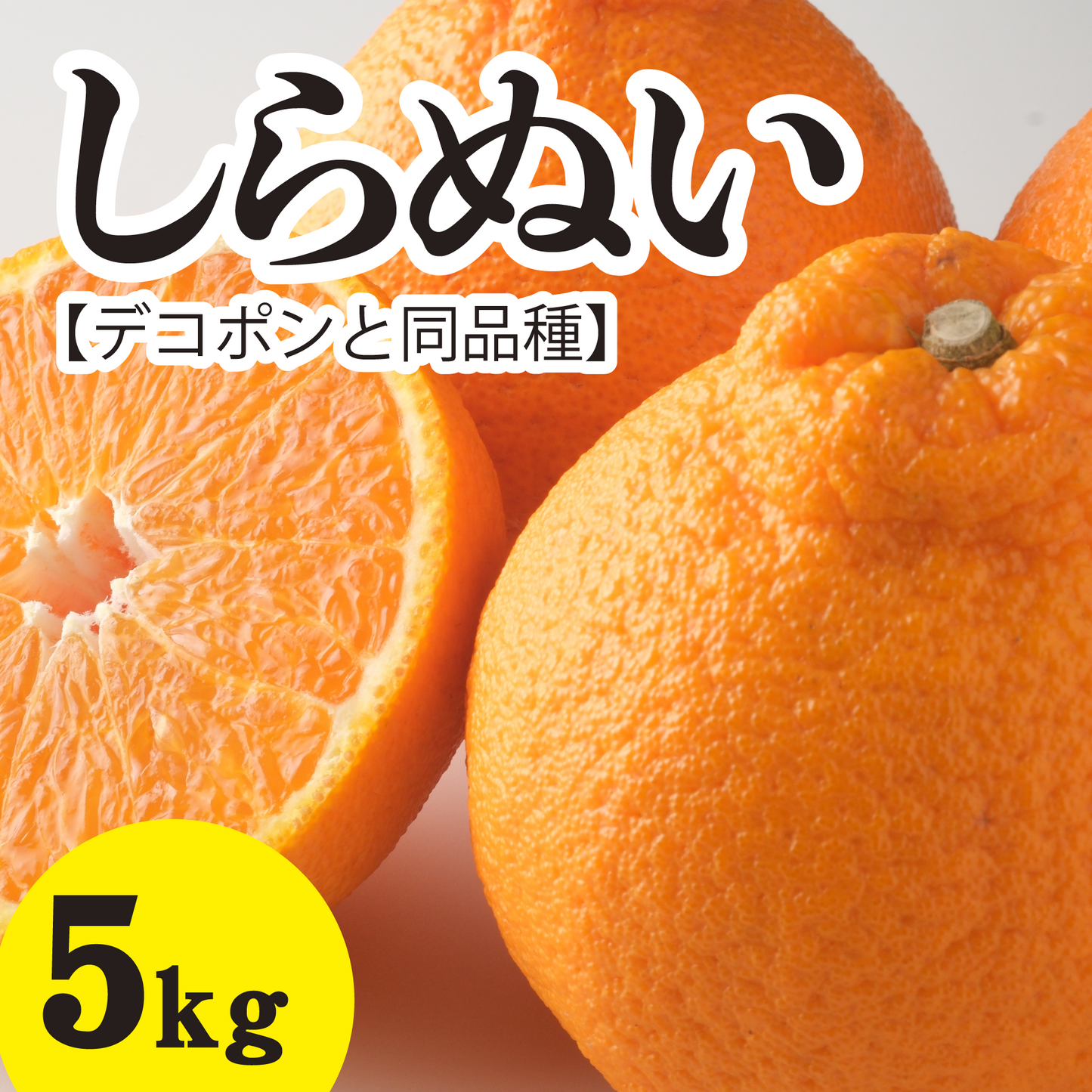 【2月下旬以降】甘さも果汁たっぷりジューシー『しらぬい【デコポンと同品種】』!5Kg