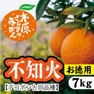 【3月上旬以降】≪お徳用≫デコが特徴!甘さとほどよい酸味が特徴『不知火』7Kg