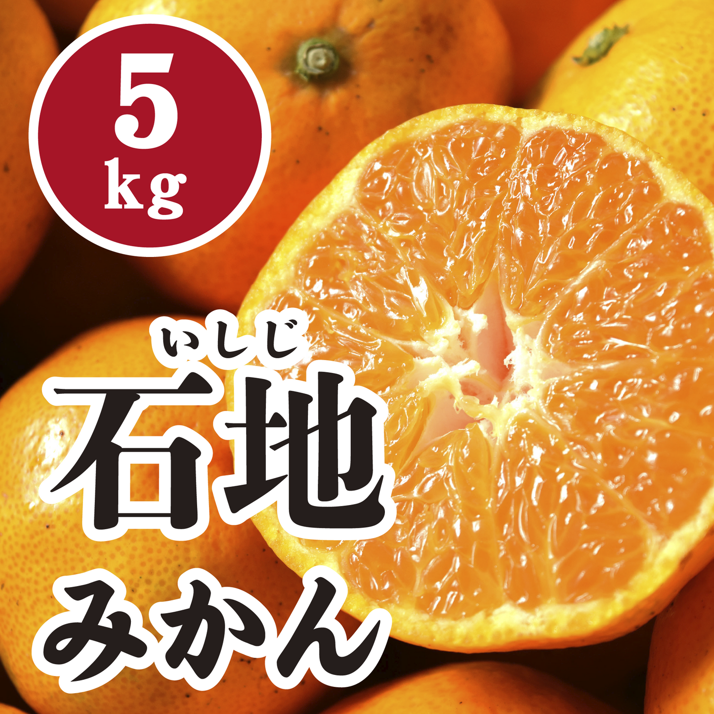 【12月上旬以降】高糖度!甘さ抜群石地みかん5Kg