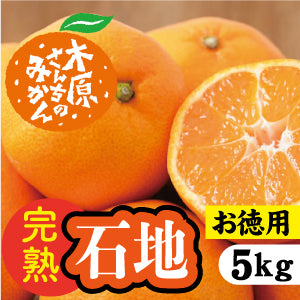 【12月中旬以降】≪お徳用≫みかんの王様「石地」子どもから大人まで大人気!5Kg