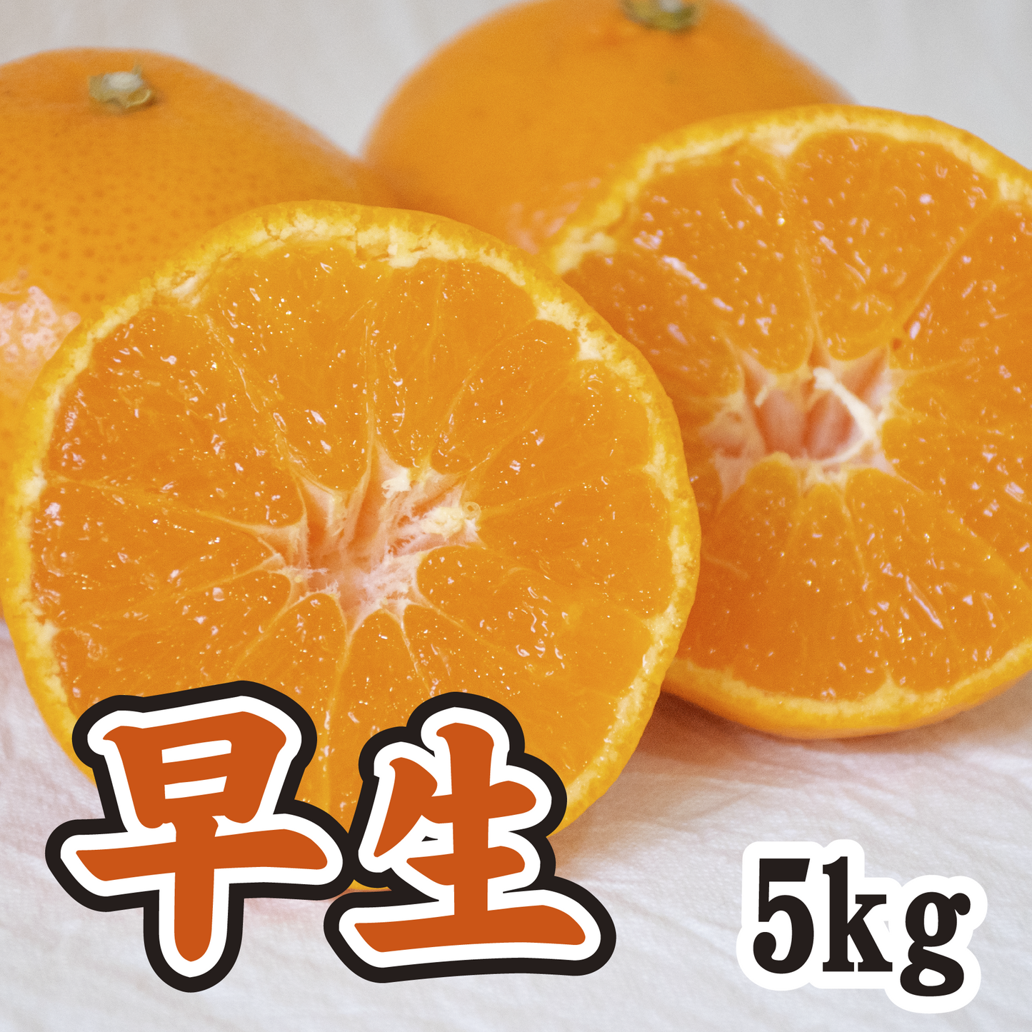 【11月上旬以降】甘さと酸味が絶妙!!早生みかん 5Kg