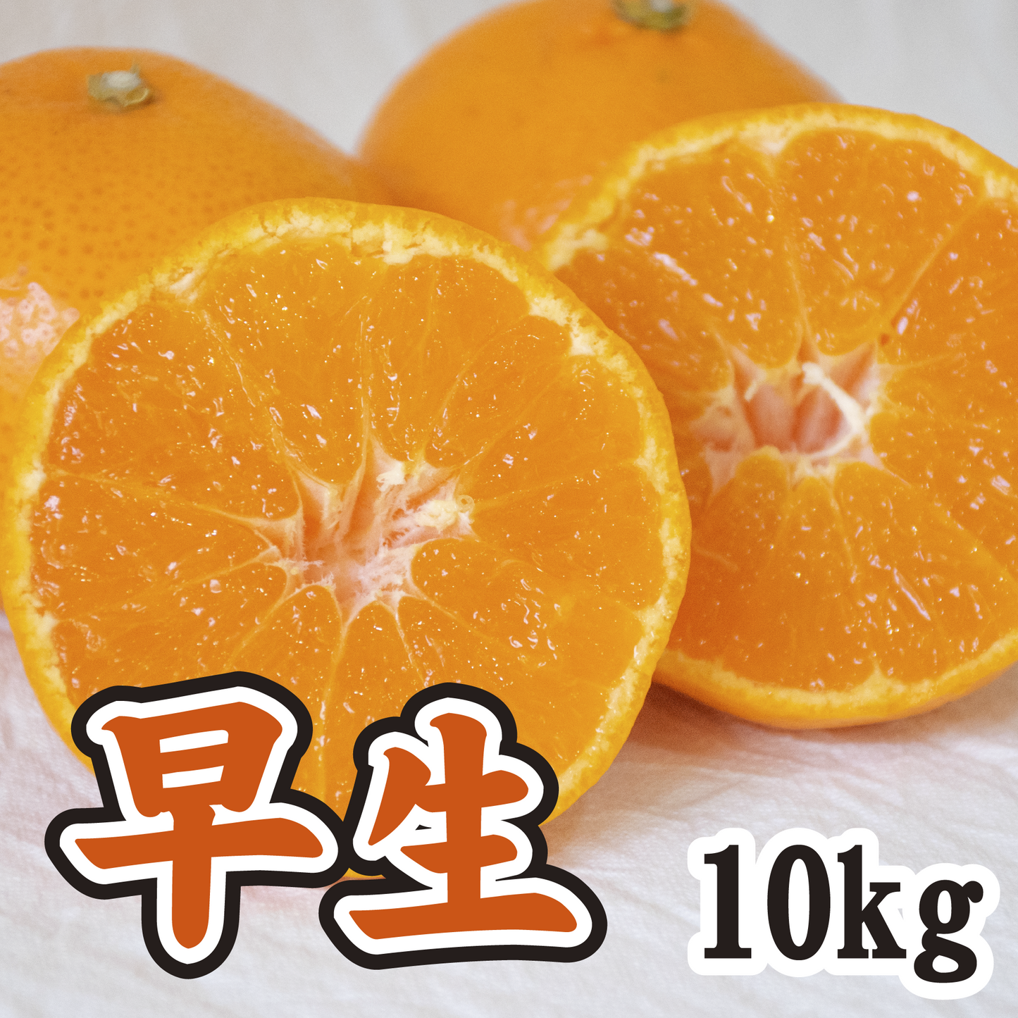 【11月上旬以降】甘さと酸味が絶妙!!早生みかん 10Kg